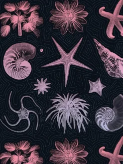 Heren 8-pack Boxershorts-Muchachomalo Outlet