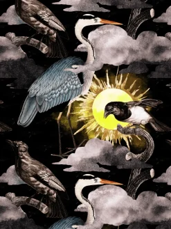 Heren 10-pack Boxershorts-Muchachomalo Best