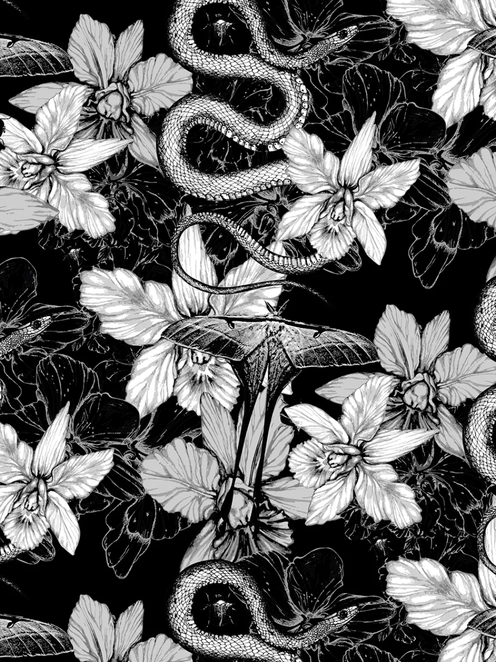 Heren 10-pack Boxershorts-Muchachomalo Hot