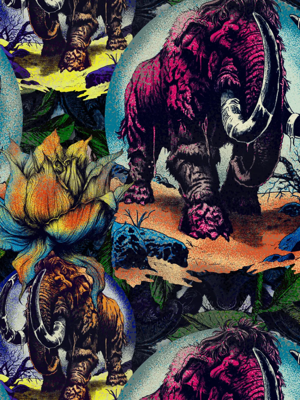 Heren 12-pack Boxershorts-Muchachomalo Best