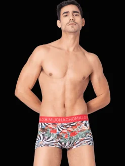 Heren 3-pack Trunks Jackbean Alicewonder-Muchachomalo Best